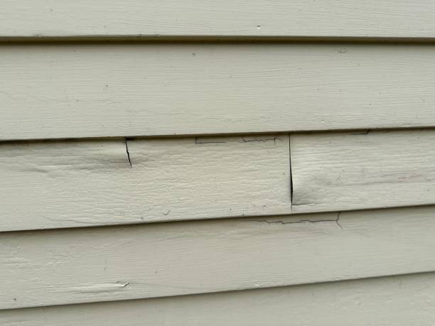 Best Siding Painting and Refinishing  in Tyrone, GA